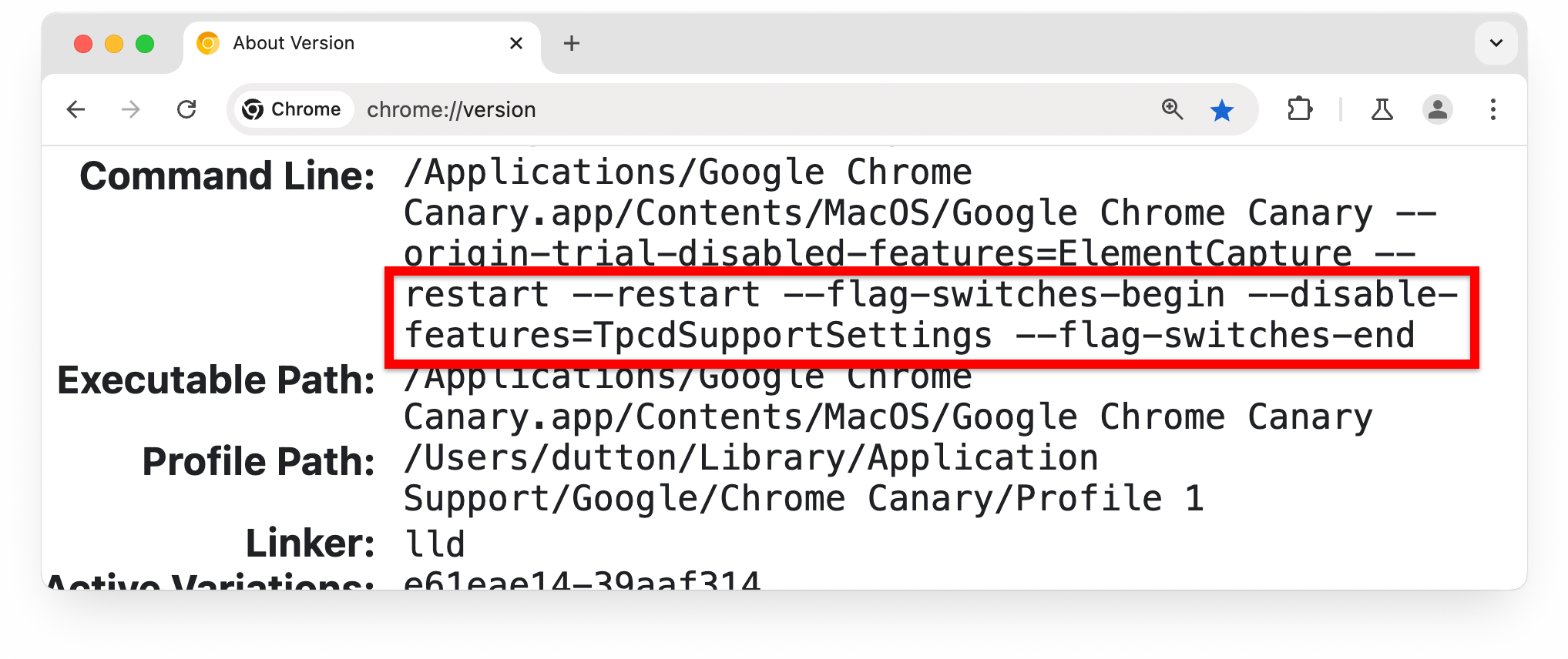 Die Seite chrome://version mit einem hervorgehobenen Flag im Abschnitt „Befehlszeile“